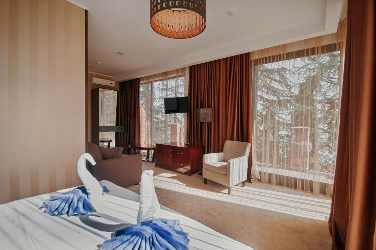 Afon Resort Hotel New Athos Bilik gambar